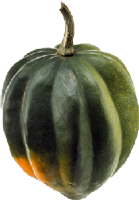 Courge poivrée vert foncé du marché maraîcher