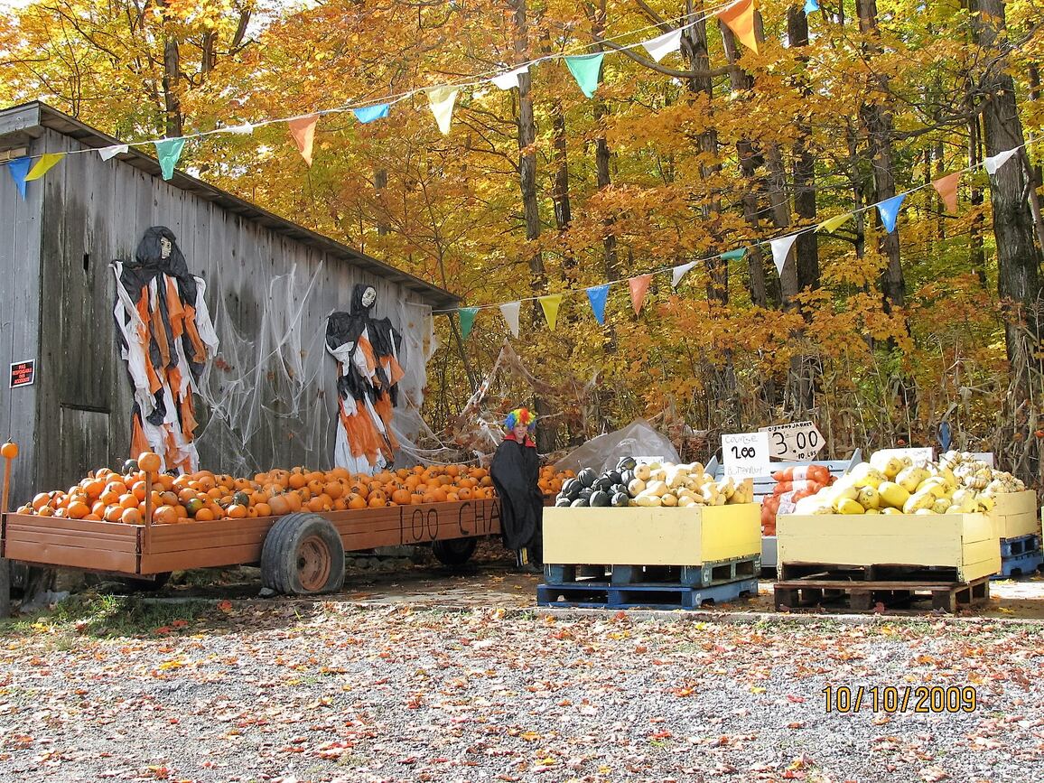 Remorques de citrouilles devant le kiosque décoré pour l'automne