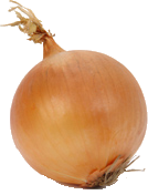 Oignons jaunes frais de la ferme